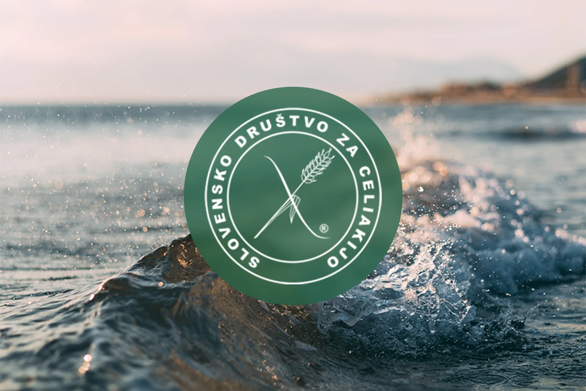 <strong>SLOVENSKO DRUŠTVO ZA CELIAKIJO</strong>